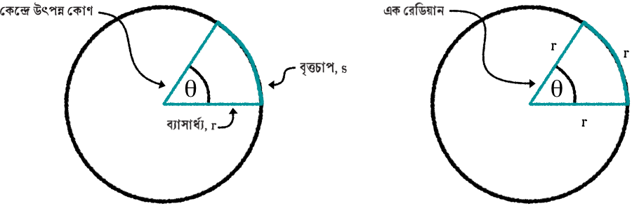 Calculations of radian